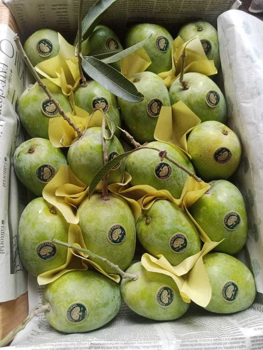 Anwar Ratol Mango