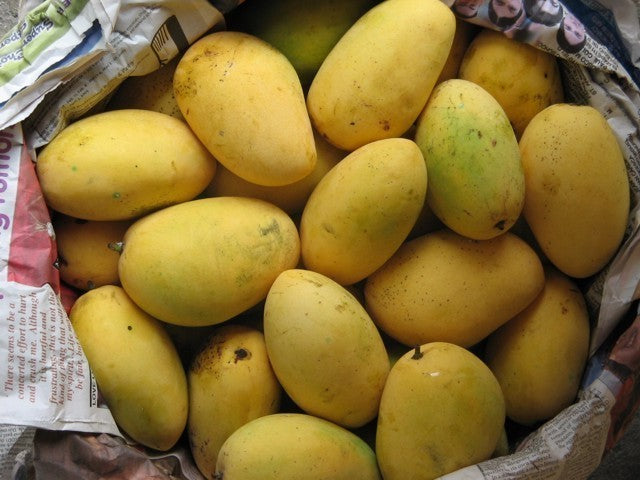 Multani Chaunsa Mango