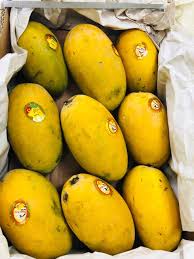Multani Chaunsa Mango